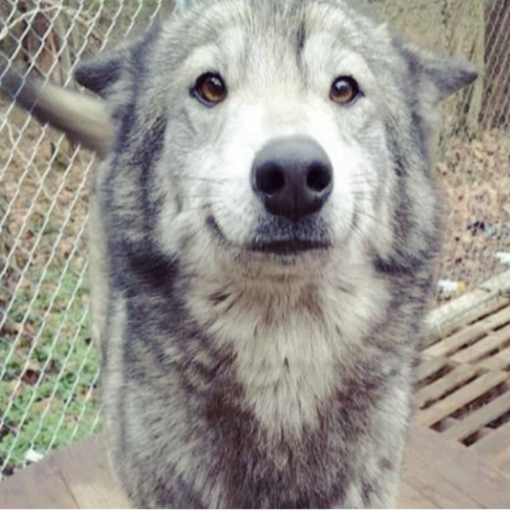 Meet your Posher, Help